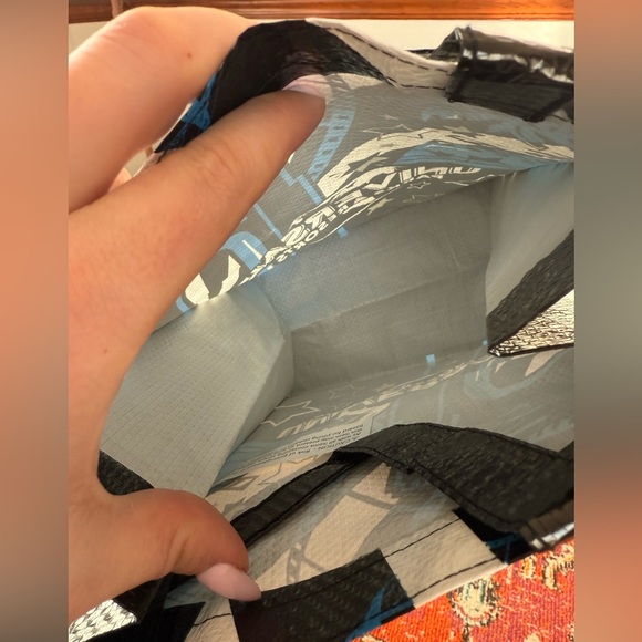 Universal Parks Mini Tote & Disneyland 1st Visit Pin - Picture 3 of 3